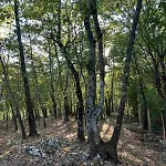 Aria * Bosanska Krupa